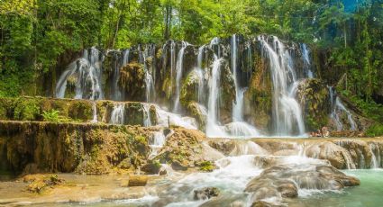 Secretos ancestrales en un Pueblo Mágico: Un jardín botánico con 300 plantas medicinales