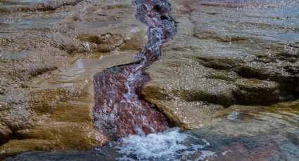 Lago de Pátzcuaro: Gracias a las lluvias, 'recuperan' manantiales de aguas cristalinas