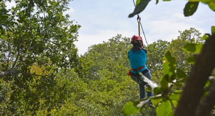 Aventura al natural: El parque de Puebla con tirolesas, muros de escalar y gotcha para pasar el fin