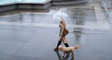 Onda tropical ocasiona lluvias, caída de granizo y descargas eléctricas: Clima hoy 16 de agosto