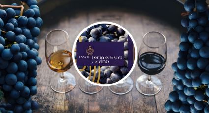 Feria de la Uva y el Vino Parras 2024: ¡Catas, música y mucho más!