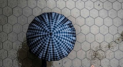 ¿Dónde disfrutar del sol hoy? Pronóstico del clima para el sábado 3 de agosto