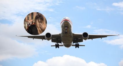 AIFA: Estos son los destinos a los que puedes volar desde esta terminal con tu mascota