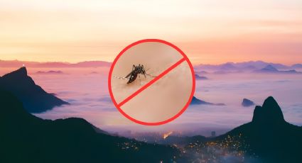 Virus Oropouche: ¿Cuáles son los destinos de Latinoamérica que debes EVITAR visitar en vacaciones?