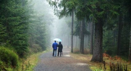 Dos ondas tropicales, lluvias intensas, granizo y calor: Así el clima hoy jueves 22 de agosto