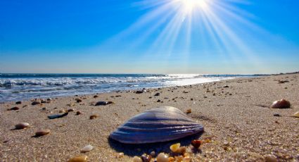 Conchas Chinas, la hermosa playa de Puerto Vallarta para sentirte en el paraíso