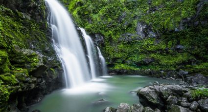 Palo María, la cascada que resguarda una poza y puedes conocer en Puerto Vallarta