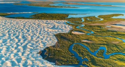 Isla Magdalena, el destino que combina dunas del desierto y hermosas playas