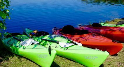 Paseos en CDMX: ¿Cuánto cuesta el tour en kayak en Xochimilco?