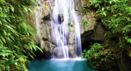 Spa natural: El destino donde las cascadas ofrecen masajes relajantes a los turistas