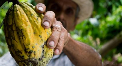 ¿Sin plan? El destino mexicano conocido como la cuna del cacao y chocolate para ir de viaje