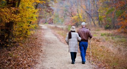 Día del Abuelo: ¿Cuáles son los descuentos en autobuses para viajar con adultos mayores?