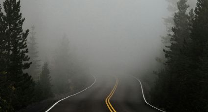 Guía para navegar las carreteras con neblina en México ¿Cuáles son?