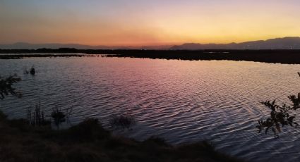 Parque Ecológico Lago de Texcoco: ¿Cuáles serán las rutas de transporte que podrás  usar para visitarlo?