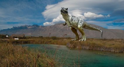 ¿Dónde? INAH identifica escarabajo que se alimentaba de cadáveres de dinosaurios