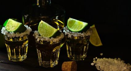 ¡Mes patrio! Visita el Museo del Tequila y el Mezcal en la CDMX