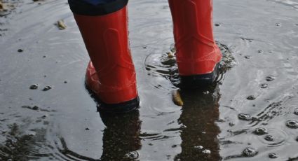 Frente frío, masa de aire y onda tropical traerán lluvias y granizo: Clima hoy lunes 2 de septiembre