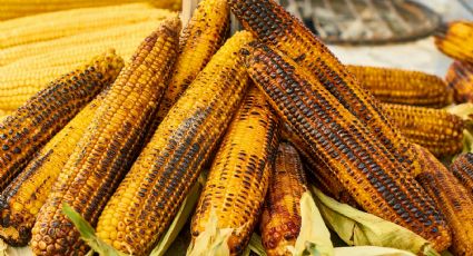 ¿Cómo llegar a la Feria Gastronómica del Elote Tlacotenco 2024 en transporte público?