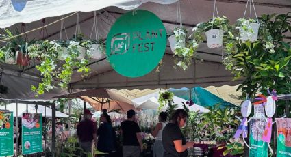 ¡Plants Fest llega a CDMX para conseguir todo para tu jardín!