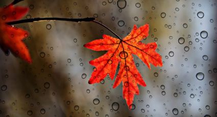 ¡Tláloc no cede! Lluvias fuertes y granizo: Así el clima hoy 19 de septiembre