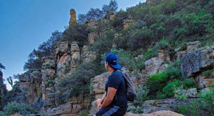 Los Panales, el destino de Guanajuato para disfrutar una aventura natural lejos de la ciudad