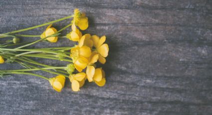 El destino donde surgió la tradición de regalar flores amarillas el 21 de septiembre