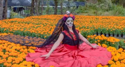 Día de Muertos: Los campos de cempasúchil cercanos a la CDMX para comprar tus flores