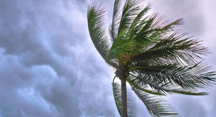 John y Helene ocasionarán lluvias torrenciales y marea de tormenta: Clima hoy 24 de septiembre