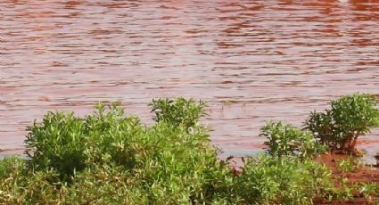 ¿Un río de color rojo? Descubre esta maravilla natural en Perú