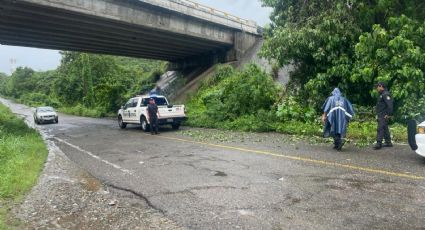 ¿Vas a Acapulco? 6 carreteras presentan cierre total tras el huracán John