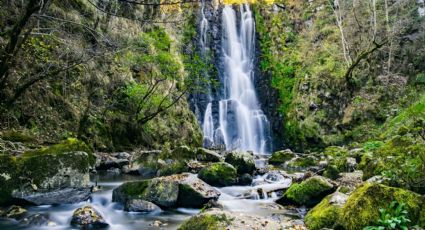 Las bellas cascadas de la CDMX a las que puedes llegar fácilmente en Metro