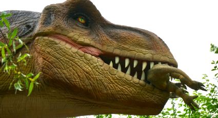 Dinosaurios invadirán Zacatecas con exposición interactiva GRATIS: Fechas y sede