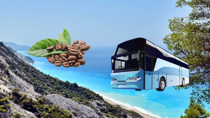 ¿Cuánto cuesta viajar en autobús al destino de Oaxaca para olvidarte del frío y cosechar café?