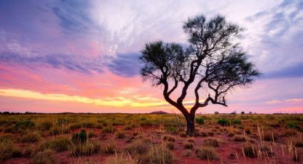 Secretos del Outback: Un recorrido por el corazón de Australia