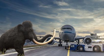 Viaja con gigantes en 2025, en el Museo Paleontológico de Santa Lucía