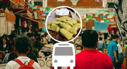 ¿Cómo llegar a la Feria del Tamal en Hidalgo desde la CDMX en autobús?