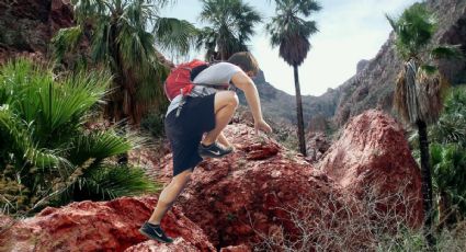 ¡Aventura al natural! El cañón escondido en el desierto que puedes conocer en Sonora