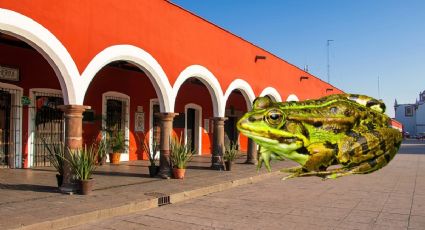 Callejón de los Sapos: ¿Por qué se llama así este rinconcito de Puebla?