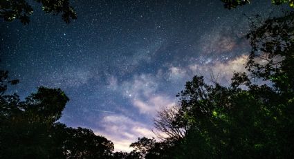 Refugio verde en Colima