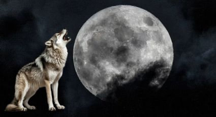 Luna de Lobo: ¿Cuándo podrás disfrutar este fenómeno astronómico de enero en México?