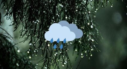 ¿Regresan las lluvias? Pronóstico del clima para este 31 de enero