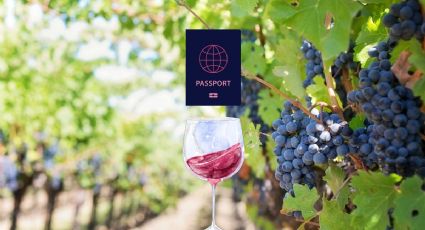 ¿Pasaporte de vino mexicano? Visita más de 30 bodegas en México durante 2025