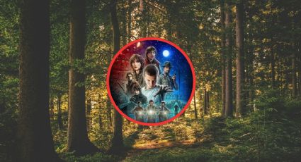 Stranger Things: Estos son los bosques naturales que inspiraron al pueblo de Hawkins