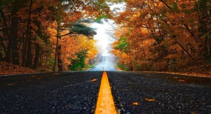 Destinos naturales para un viaje inolvidable de otoño con tu familia