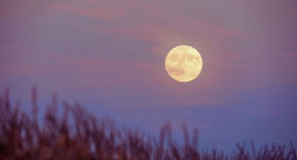 ¿Cuándo será la superluna de Cosecha y cómo verla desde México?