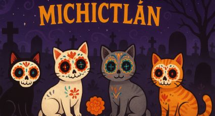 Miau Fest 2025: Día de Muertos en la CDMX con pasarela y adopción de gatos