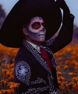 Los campos de flores que llenan de color este destino de Oaxaca en Día de Muertos