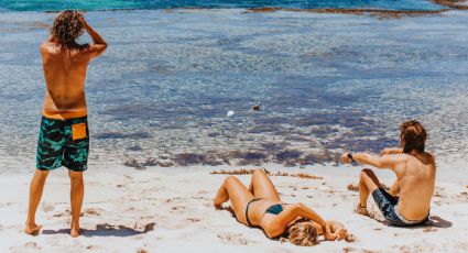 Así podrás acceder GRATIS y sin restricciones a todas las playas de México