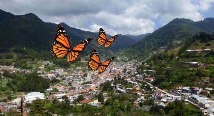 Angangueo, el Pueblo Mágico de Michoacán que se prepara para recibir a la mariposa Monarca