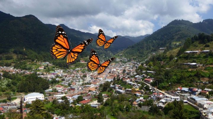 Angangueo, el Pueblo Mágico de Michoacán que se prepara para recibir a la mariposa Monarca